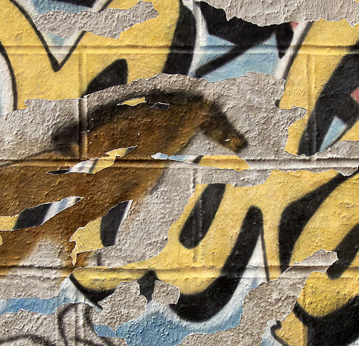 Detail of Graffiti by Nolan Haan